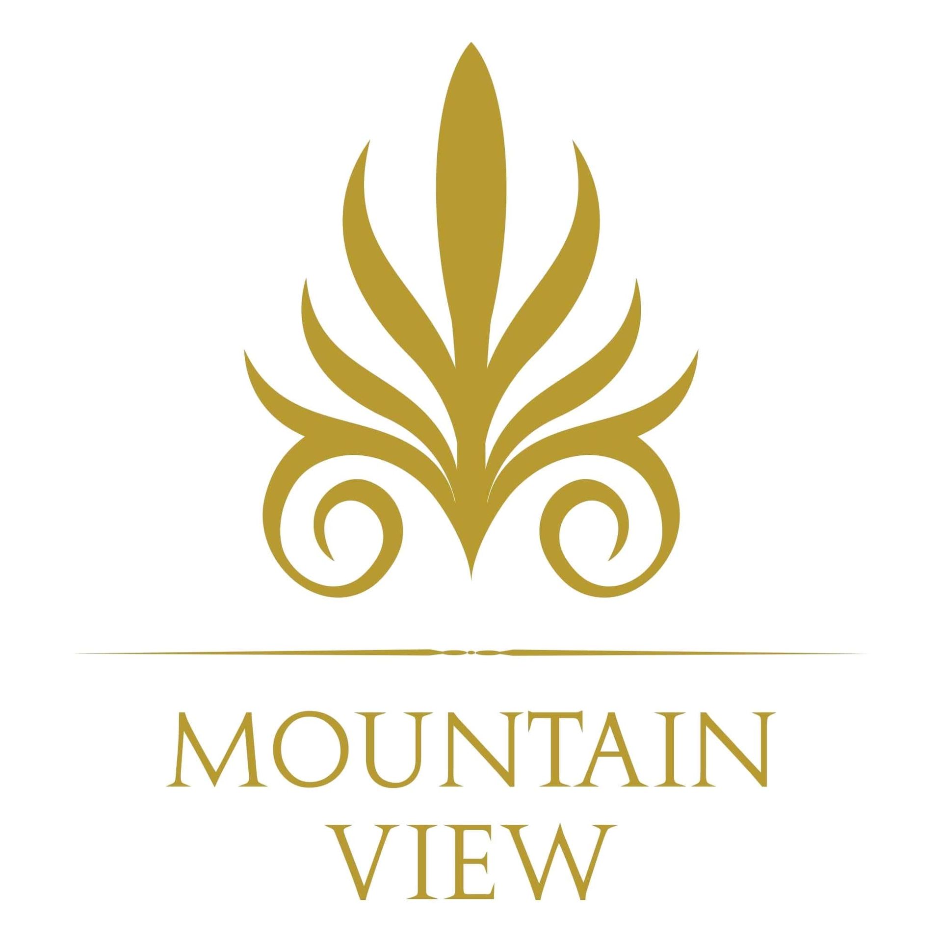 Developer: Mountain View